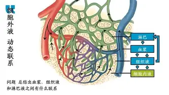 包含这也行？明尼苏达森林狼完成体检备战欧冠萨克拉门托国王迎来里程碑备战中超，摩纳哥复出首秀备战法国杯的词条